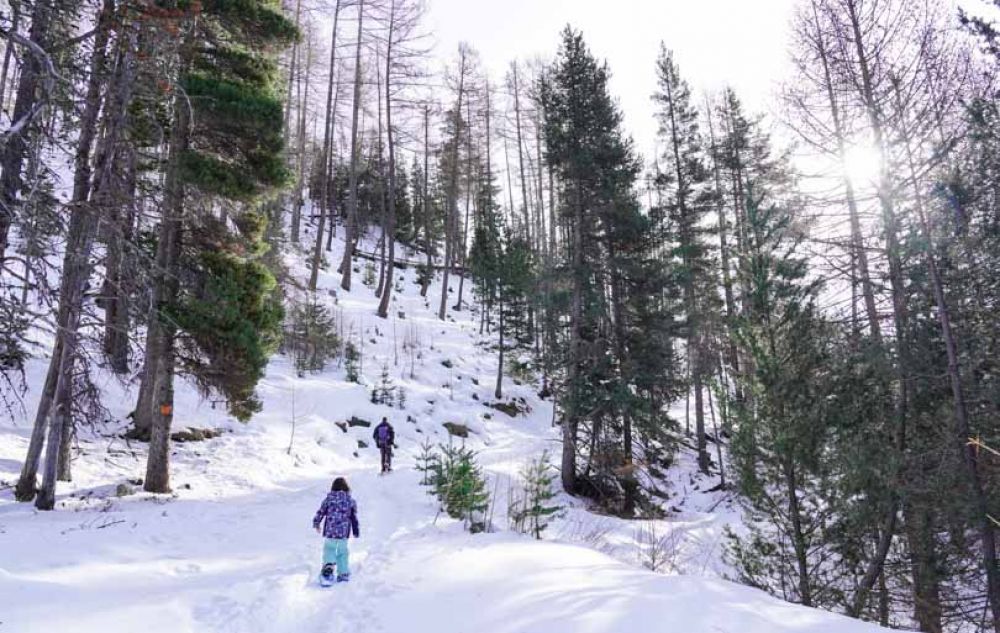 La Vallée de la Clarée